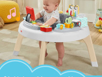 fisher-price hbm26 Детский игровой центр 2-в-1