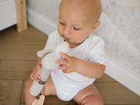 babyono-7402 1555 zornăitoare-c&acirc;rț&acirc;itor "goose zoe"