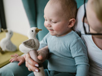 babyono-7402 1555 zornăitoare-c&acirc;rț&acirc;itor "goose zoe"