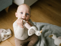 babyono-7402 1555 zornăitoare-c&acirc;rț&acirc;itor "goose zoe"