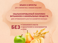 Винни terci cu lapte 3 cereale cu fructe (banane, pere, mere) (6 m +) 200 gr.