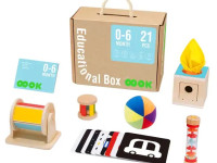 tooky toy tk750 Набор игрушек для раннего развития "Развивающая коробка" (21 предмет)