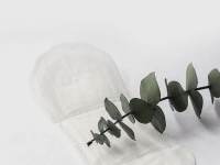 joonies luxe absorbante pentru dame zi de zi (30 buc.)