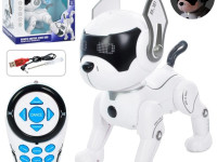 16612 c&acirc;ine robot interactiv cu telecomandă