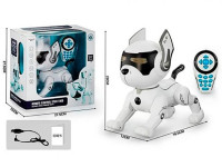 16612 c&acirc;ine robot interactiv cu telecomandă