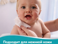 pampers Șervețelele umede 99% water (4х60) 240 buc.