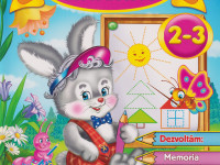 carte "jocuri si activitati distractive" (ro)