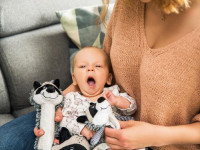 babyono-77 745 Мягкая игрушка "Енот Рокки"