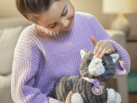 zapf creation 837580 pisicuță interactivă cu cutie baby born "my cat cookie"