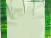 sano Многоразовые перчатки "sushi alое" (размер l) 883356