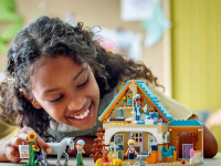 lego friends 42651 Конструктор "Ветклиника для домашних животных" (428 дет.)