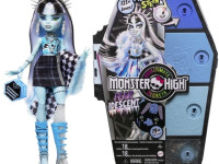 monster high hnf75 Кукла "Фрэнки Штейн"