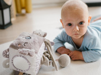 babyono-855 cub senzorial de pluș "koala coco" 1637