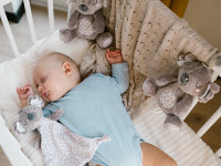 babyono-853 Мягкая погремушка-обнимашка "Коала Коко" 1635