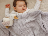 babyono 1647/02 Плед из органического хлопка (75x100 см) серый