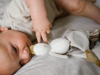 babyono-7403 1559 jucărie &icirc;n formă de eșarfă "goose zoe"