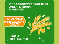 heinz terci  din 5 cereale fara lapte "Я большой" 200 gr. (12m+)
