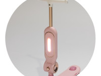 chipolino dsblo0262gy trotineta 2 in 1 "bloomi" gri