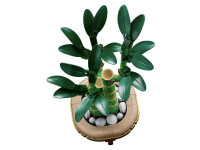 lego botanical collection 10344 constructor "lucky bamboo" (325 el.)