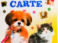 prima mea carte "animale domestice"