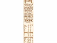 nestle Каша 8 злаков с молочным шоколадом "stracciatella" 250 гр. (18 м+)