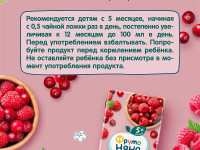 ФрутоНяня suc de merișoare și zmeură (5 luni +) 200 ml.