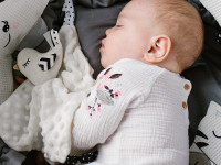 babyono-767 1537 Мягкая игрушка-платок "Маленькая Птичка"