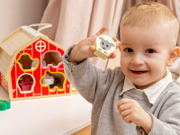 kids hits kh20/028 sortator din lemn "fermă"