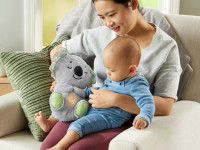 fisher-price grt59 Музыкальная игрушка "Сказочные сны коалы"
