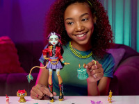 monster high hyv58 Кукла Кукла "Джинафаер Лонг"
