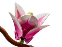 lego botanicals 11510 constructor "crenguțe de magnolie" (435 el.)