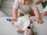 babyono-7407 1559 jucărie de &icirc;mbrățișat "koala charlie"