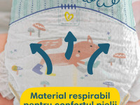 pampers premium care 5 (11-16 kg.) 148 buc.