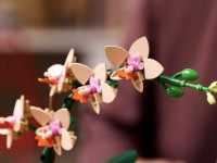 lego botanical collection 10343 constructor "mini orhidee" (274 el.)