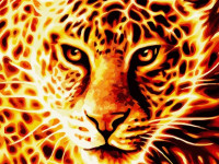 strateg leo va-3645 Картина по номерам "Огненный леопард" (40x50 см.)