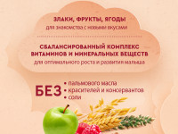 Винни terci cu lapte  5 cereale cu mere si zmeura (6m +) 200 gr.