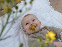 bibs Пустышка круглая силиконовая de lux (0-36 м.)  honey bee