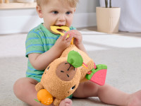 fisher-price hyr54 Развивающая игрушка "Капибара"