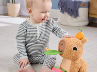 fisher-price hyr54 Развивающая игрушка "Капибара"