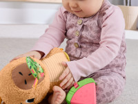 fisher-price hyr54 Развивающая игрушка "Капибара"