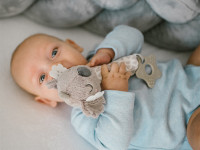 babyono-851 zornăitoare de pluș "koala coco" 1633