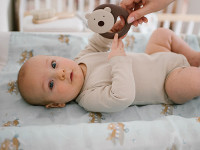 babyono-936 Погремушка "Медвежонок" 1546