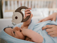 babyono-936 Погремушка "Медвежонок" 1546