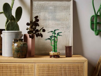 lego botanical collection 10344 constructor "lucky bamboo" (325 el.)