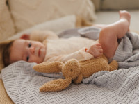 babyono 1647/02 Плед из органического хлопка (75x100 см) серый