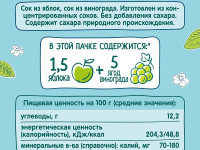 ФрутоНяня suc de mere și struguri 200 ml. (6 luni+)
