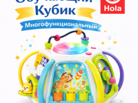 hola toys he8971 cub educativ "&Icirc;nvățare timpurie"