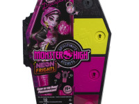 monster high hnf78 Игровой набор "Дракулаура" серия "Секреты в шкафу"