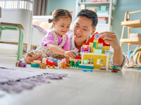 lego duplo 10467 constructor "casa de familie" (84 el.)