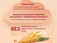 Винни Каша молочная 5 злаков c пребиотиками (6 m+) 200 гр.